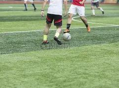 瓦格诺曼精,准倒三角传,托马斯力挽,PG电子官网,PG电子试玩,PG电子模拟器,PG电子平台,PG电子下载